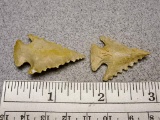 Two Serrated Points - 1 1/2 in. - Tan Flint