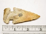 Archaic Expanded Notch - 2 3/4 in. - Delaware