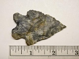 Bifurcated Point - 2 1/2 in. - Coshocton Flint