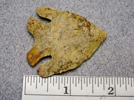 Archaic Bevel - 2 in. - Crooksville Chert