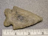 Bifurcated Point - 3 in. - Hornstone - Branch Co.