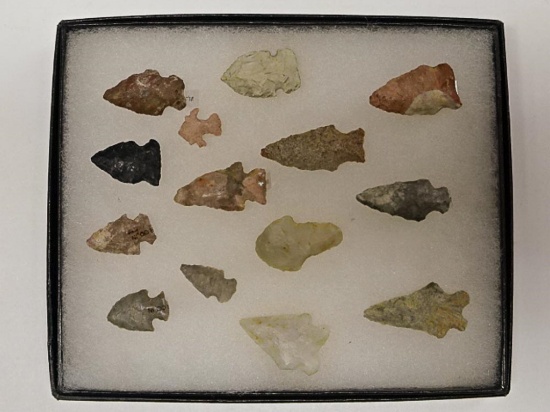 Frame - of 14 Bird Points