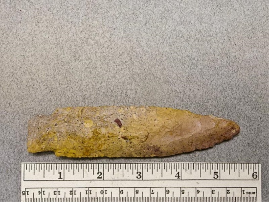 Benton Point - 5 1/2 in. - Fossiliferous Flint