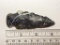 Hopewell Point - 3 in. - Black Coshocton Flint