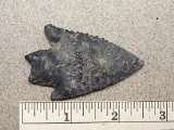 Notched Base Archaic Point - 2 3/4 in.