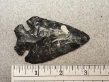 Archaic Thebes Point - 3 in. - Coshocton Flint