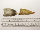 Two Paleo Points - 1 1/2 & 2 in. - Various