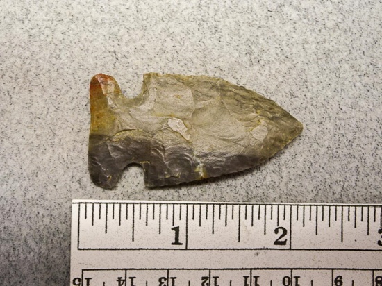 Archaic Side Notch Point - 2 in. - Coshocton