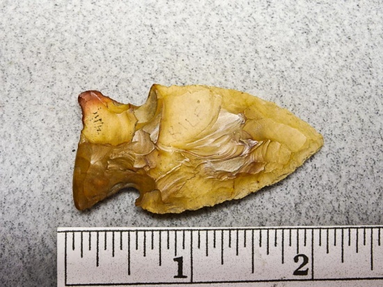 Archaic Corner Notch Point - 2 in. Tan Flint