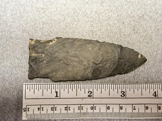 Stringtown Lanceolate Point - 3 1/4 in. - Nellie