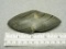 Wing Bannerstone - 4 in. - Banded Slate