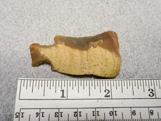 Hafted Shaft Scraper - 2 in. - Carter Cave Flint