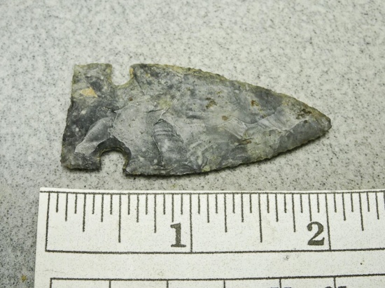 Intrusive Mound Point - 2 in. - Upper Mercer