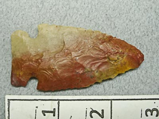Archaic Side Notch Point - 2 1/2 in. - Flint