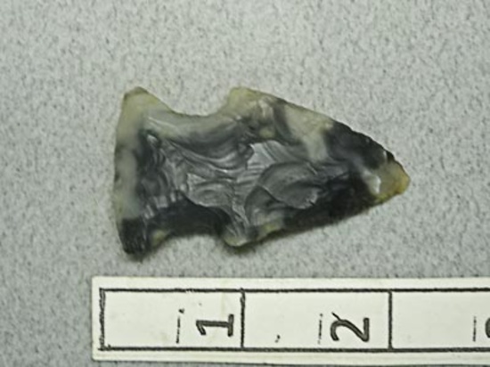 Hopewell Point - 2 in.- Black & White Flint