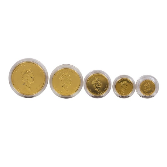 2001 Gold Maple Leaf Hologram Coin Set