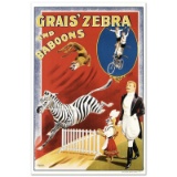Grais Zebra & Baboons