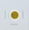 1853 $1 T-1 Gold Coin CU