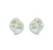 Leaf Shaped Stud Earrings - Rhodium Plated