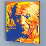 Picasso