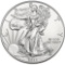 2015 American Silver Eagle Dollar Coin