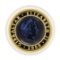 2000 Bi-Metal Gold and Titanium Tupenny Blue Crown 1oz Coin