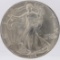 1995 American Silver Eagle Dollar Coin