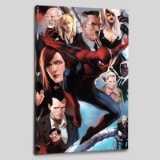 Amazing Spider-Man #645 by Marvel Comics