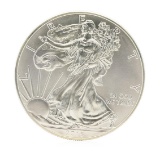 2015 American Silver Eagle Dollar Coin