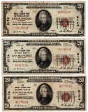 Lot (3) 1929 $20 San Francisco CA National Currency Notes - Charter 9174