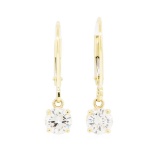 0.75 ctw Diamond Earrings - 14KT Yellow Gold