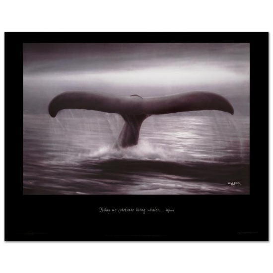 Tails of Great Whales by Wyland