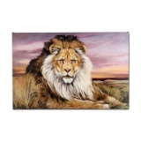 African Lion by Katon, Martin