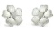 18k White Gold 0.71CTW Mother Of Pearl and Diamond Earring, (I1-I2/I-J)