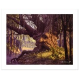 Old Willow by The Brothers Hildebrandt