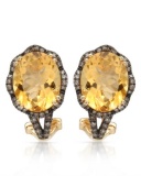 14k Yellow Gold  4.60CTW Citrine and Brown Diamonds Earring