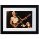 Sting by Shanahan, Rob