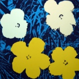 Flowers 11.72 by Warhol, Andy