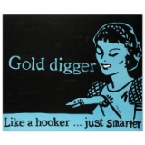 Gold Digger by Goldman, Todd