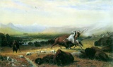 The Last Buffalo by Albert Bierstadt