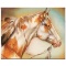 Dreamer Horse by Katon, Martin