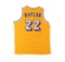 PSA Certified Elgin Baylor Autographed Basketball Jersey