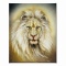 White Lion by Katon, Martin