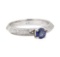 0.75 ctw Sapphire and Diamond Ring - 18KT White Gold