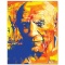 Picasso by Fishwick, Stephen