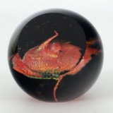 A Star is Born (Paperweight) by Glass Eye Studio