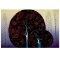 A Tree Poem by Eyvind Earle (1916-2000)