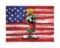 Warner Brothers Hologram Marvin with Flag