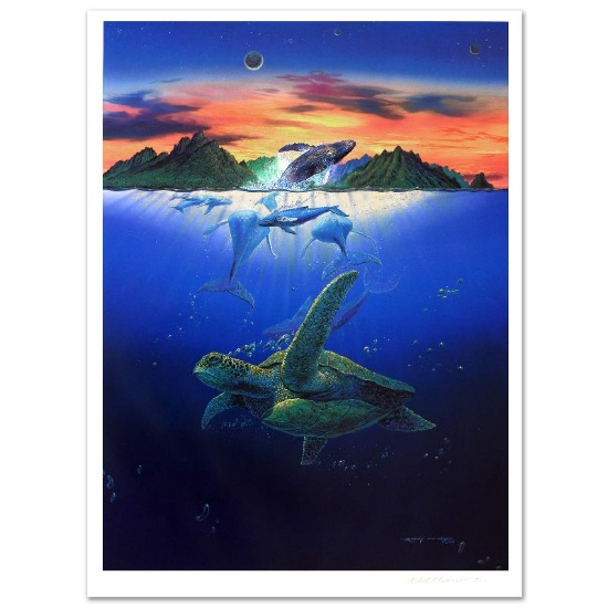 The Welcome Light by Nelson, Robert Lyn