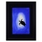 Turtle by Wyland Original